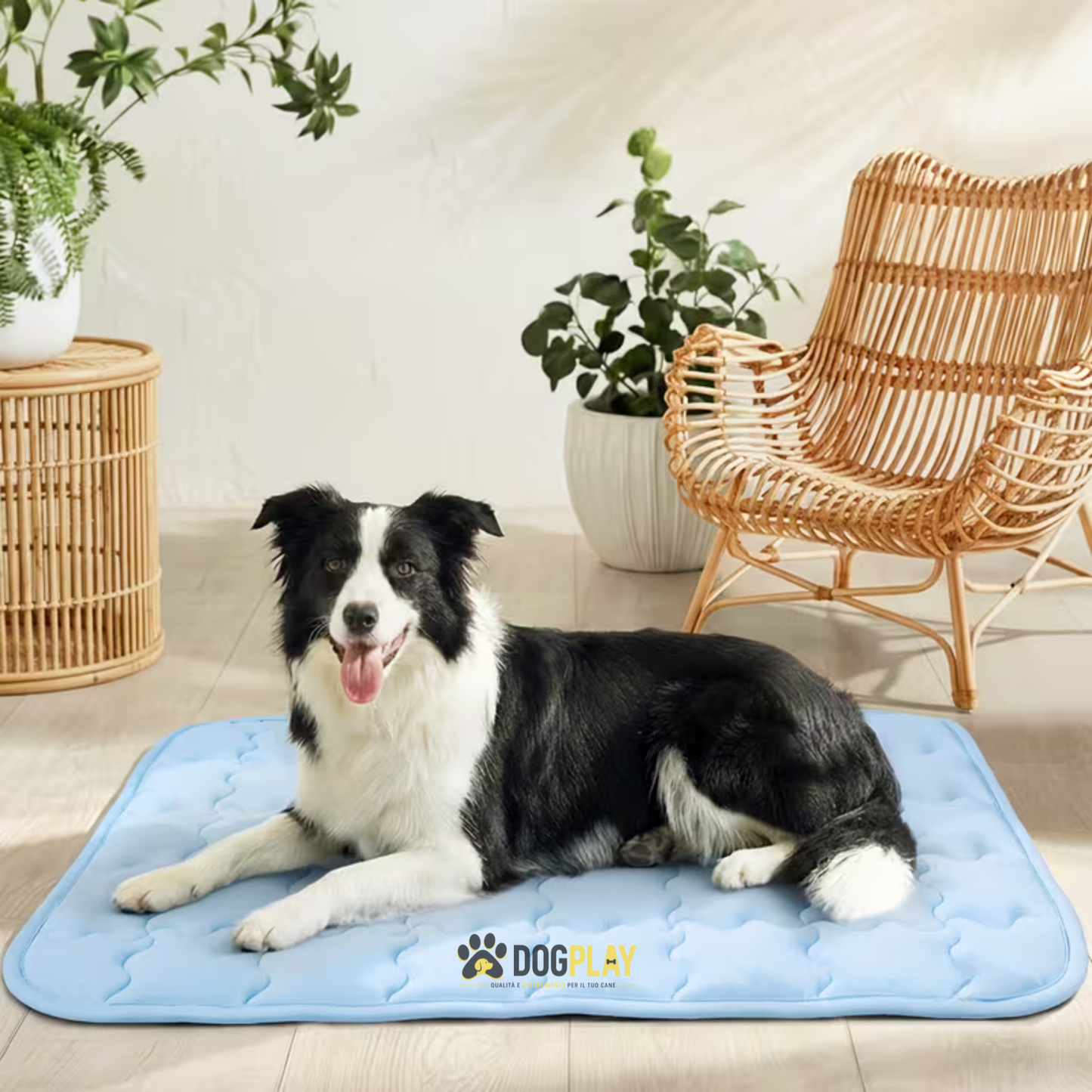 Tappetino Rinfrescante per Cani – Effetto Fresco Immediato.