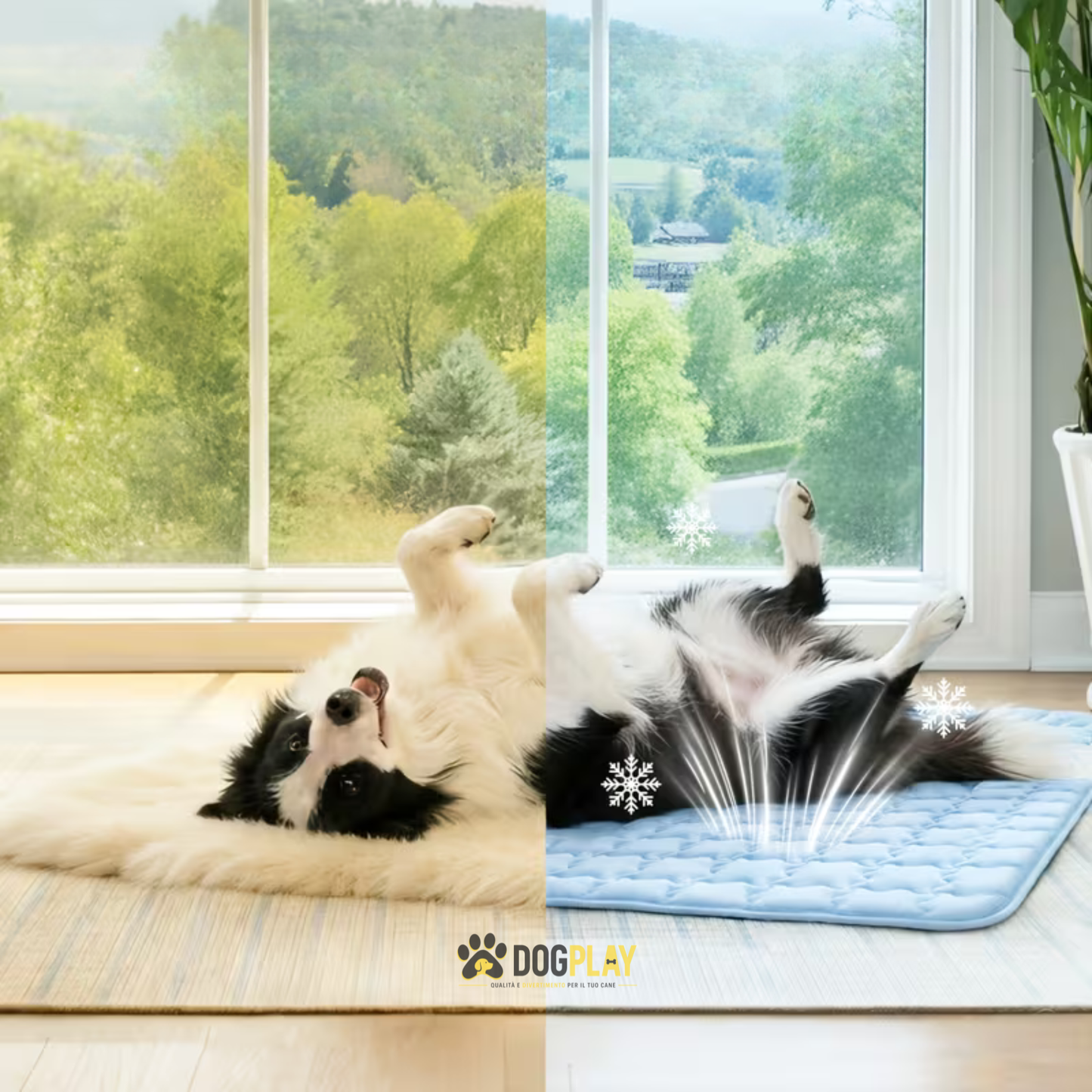 Tappetino Rinfrescante per Cani – Effetto Fresco Immediato.